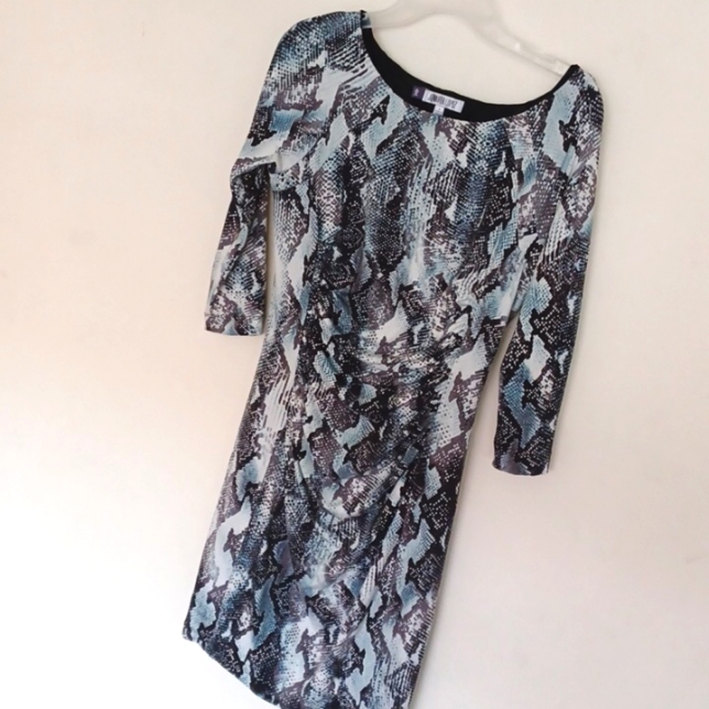 Jennifer Lopez dress, sexy 3/4 sleeve, fitted pinched waist, animal print,